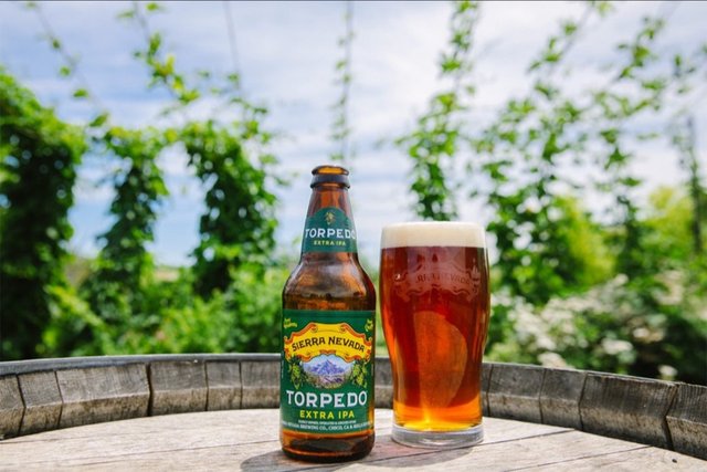 Sierra Nevada Torpedo IPA